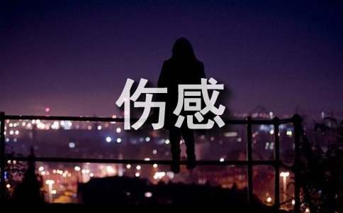 �ŵ�ʫ��д���˸о���