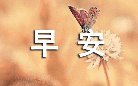 �����簲�������23��