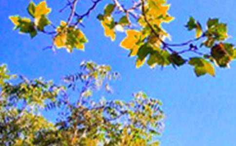 ��ʵ�á�ÿ��һǩ�簲�������ժ¼48��